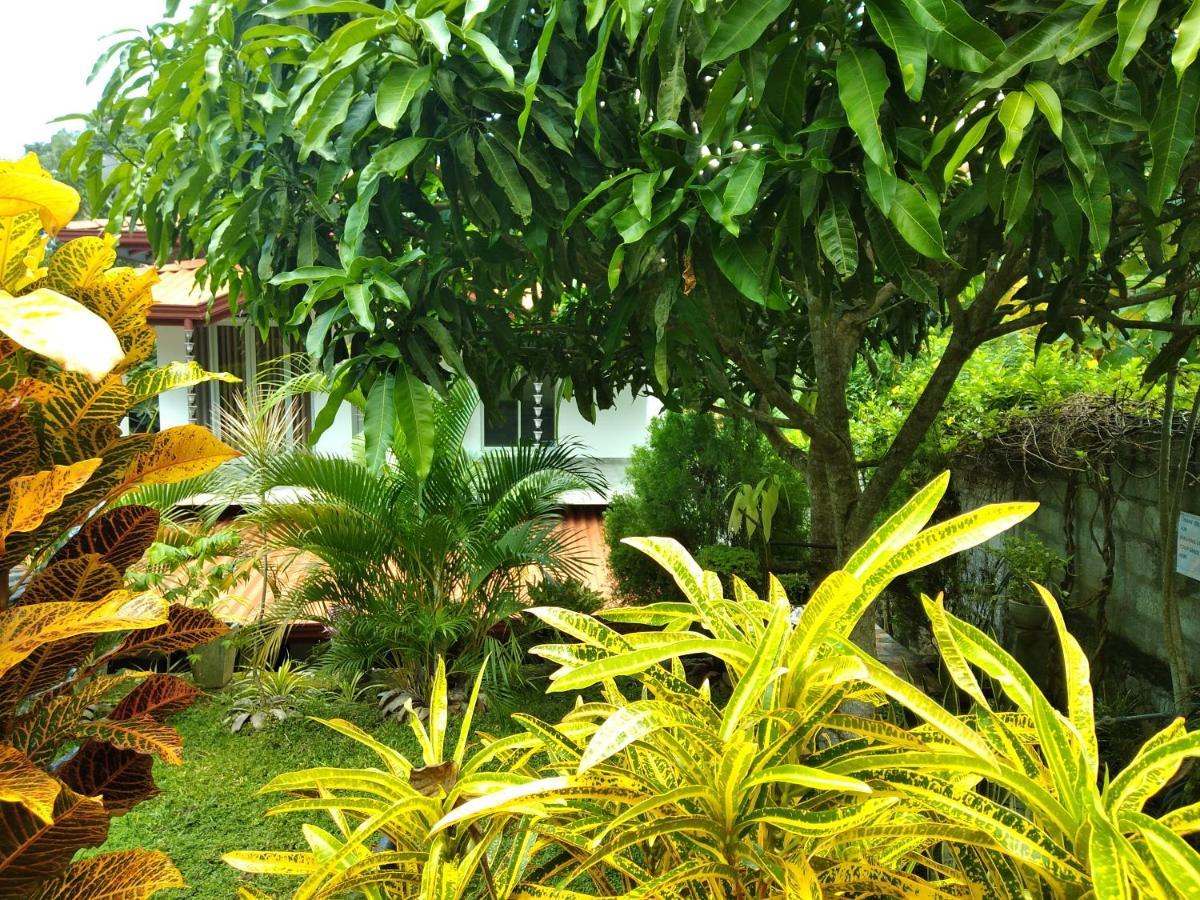 Sandhara Home Stay Тангале Екстериор снимка